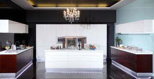 梦幻之城妖精视频APP下载